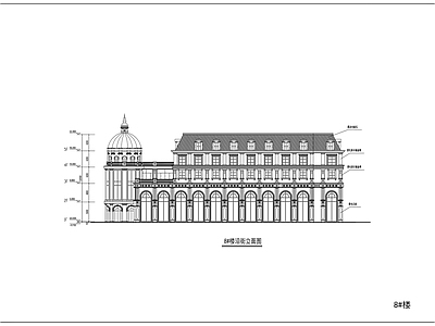 贴瓦屋面高层单公寓建筑方案 施工图