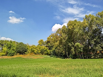 多云的蓝色天空乡村景观风景