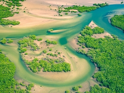 沙漠绿洲自然风景