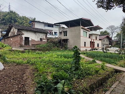 现代风景 院子 菜地