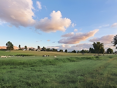 现代北欧其它外景 美丽田野草原牧场 牛羊田野草原牧场 美丽天空草原牧场