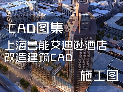 欧式酒店建筑 上海鲁能 艾迪逊 施工图