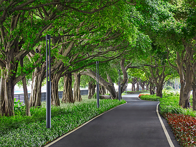 现代风景 窗外景 植物景观 路灯 地被