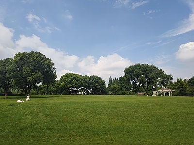 现代城市外景 阳光 蓝天白云 城市公园 夏日天空 树木背景