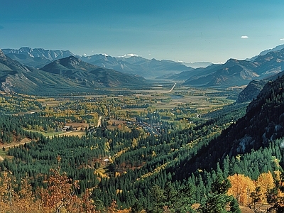 现代风景 野外风景 森林风景