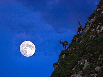 美式风景 夜景 月色