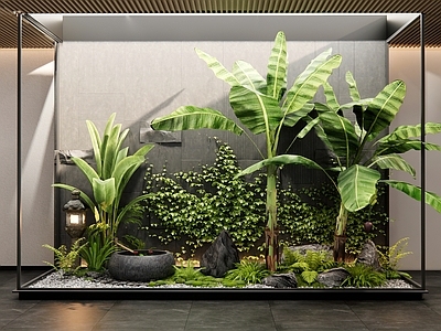 植物堆 植物组合 小品 室内植物 石头 水钵