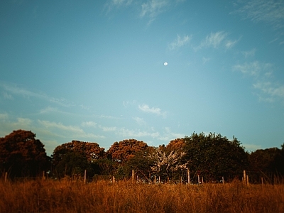 现代天空外景 蓝天白云晴天天空 天空