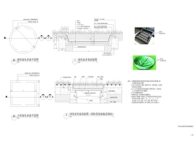 给排水图 绿化区域装饰井盖 装饰井盖详图 施工图