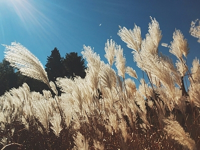 现代挂画 艺术挂画 风景艺术摄影