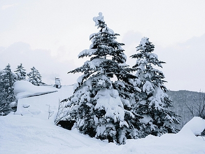 现代风景 雪地 雪松 雪景 别墅外景