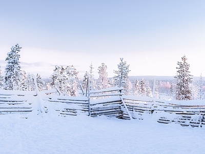 现代风景 雪地雪景 栏杆栅栏围栏 松柏树林 别墅外景 秋冬清晨