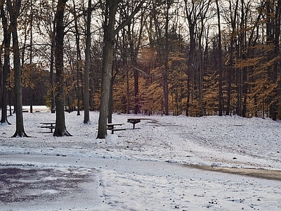 现代风景 秋冬 雪景 别墅外景 红树林 雪地风光