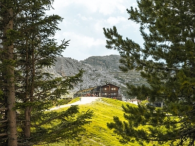 现代风景 林 别墅 窗景 松树林 阴天