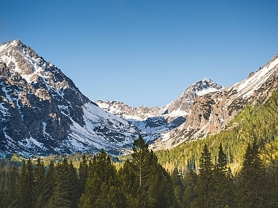 现代风景 雪树林 蓝天天空 谷脉 雪景 峰植被