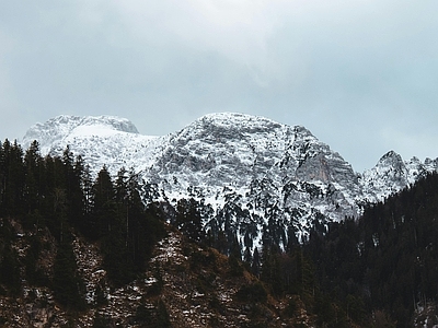 现代风景 秋冬雪山树林风光 阴天天空 松树林 山坡山脉 雪景