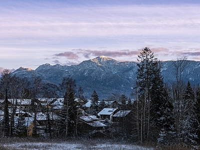 现代小区外景 冬季别墅林外景 雪树林 晚霞天空 雪景雪地风光 夕阳小区