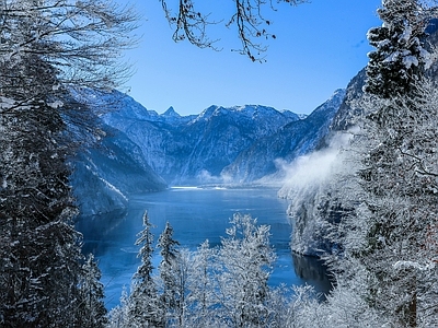 现代风景 冬季林风光 雪松树林 湖泊湖边别墅窗景 雪松雪景 蓝天