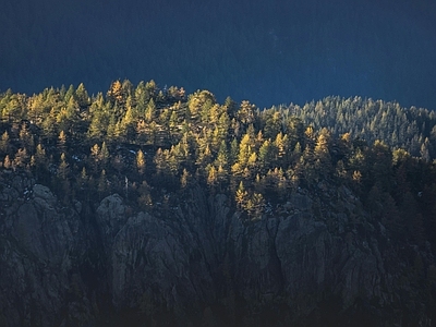 现代风景 悬崖树林风光 阳光 松树林 高石壁 顶森林