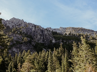 现代风景 林别墅外景 顶树梢 松树林 蓝天天空 坡脉