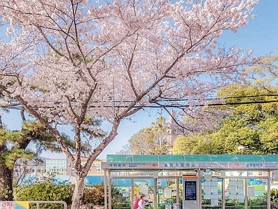 现代日式街道外景 窗外街道外景日景 商业街外景 人行道