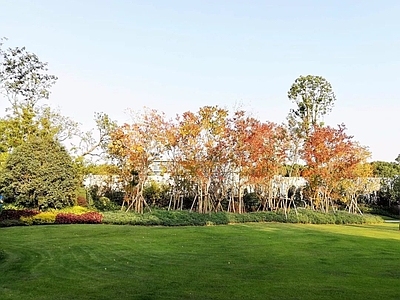 现代小区外景 庭院外景 草地外景风景