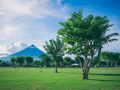 现代风景 草地公园风光 树林风光 高峰远 别墅园林庭院外景 蓝天白云天空