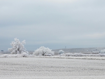 现代风景 冬季阴天雪景 坡雪地草地风光 树林雪 多云天空