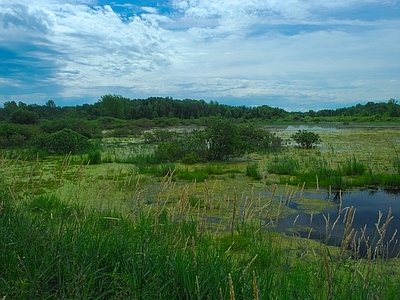 现代风景 景观效果图背景 蓝天湿地