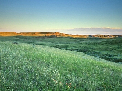 现代风景 景观效果图背景 蓝天草地