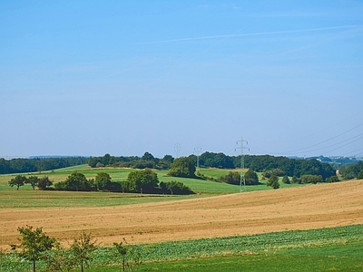 现代风景 田野田园坡风光 树林草地坡 脉草原树林 蓝天阴天天空 秋季电线杆电缆