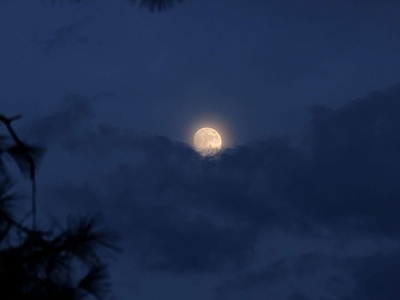 新中式天空外景 窗外景月色 夜晚天空