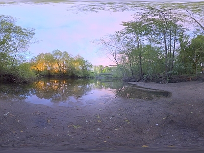 现代户外HDR 树林沼泽小桥外景