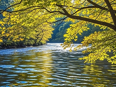 现代风景 秋天 湖水 森林 公园