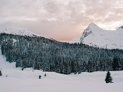 现代风景 雪松树林 高雪地雪景 顶坡植被风光 阴天多云云雾外景 夕阳晚霞落日天空