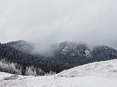 现代风景 阴天云雾雪山 冬季雪地松树林 多云浓雾天空 高原山坡草地雪景 山顶植被风光