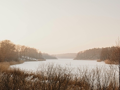 现代风景 冬季黄昏湖边树林 浓雾雪景雪地草丛 夕阳山坡森林荒草 别墅野外外景 落日日出清晨