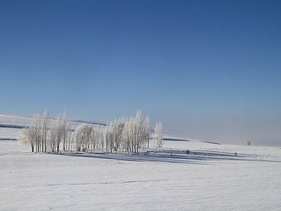 现代风景 冬季树林雪地雪景 山坡雪原外景风光 清晨阴天蓝天天空 野外荒野荒原外景 山脉山顶