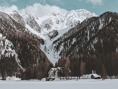 现代风景 雪雪景别墅外景 高松树林植被 冬季雪地风光 顶村农舍民宿 雪原