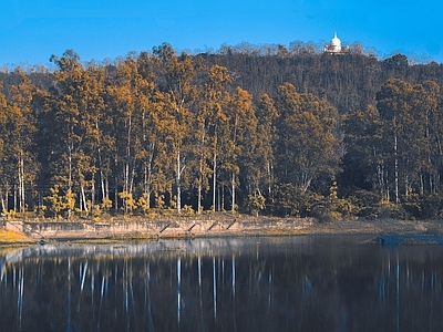 现代风景 秋季湖边树林风光 湖泊白桦林 高植被红树林 蓝天天空 藏区高原