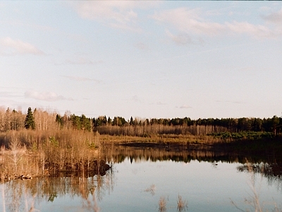 现代风景 秋季湖边树林风光 冬季湖泊松树林 黄昏晚霞夕阳天空 自然风光池塘岸边 蓝天白云别墅外景