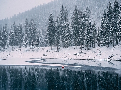 现代风景 冬季湖边松树林 阴天雪地雪景 高坡植被外景 浓雾森林湖泊风光 野外户外自然风景