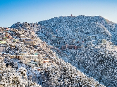 现代小区外景 冬季林别墅外景 高雪景松树林 森林植被脉风景 顶建筑蓝天清晨 区城市乡镇风光