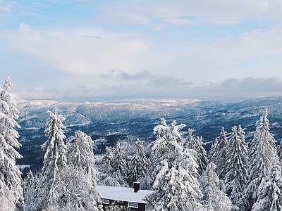 现代风景 顶松树林雪景 冬季别墅外景窗景 高脉坡风景 野外户外森林民宿 蓝天白云天空风光