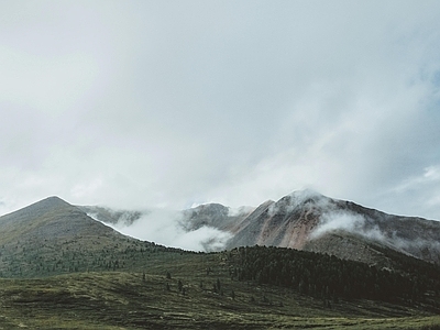 现代风景 阴天高云雾外景 浓雾多云天空 顶草原草地 植被松树林风光 自然脉坡腰