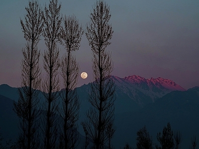 现代风景 顶树林月亮夜景 晚霞夕阳落日天空 高脉森林风光 林别墅外景窗景 满月圆月夜空