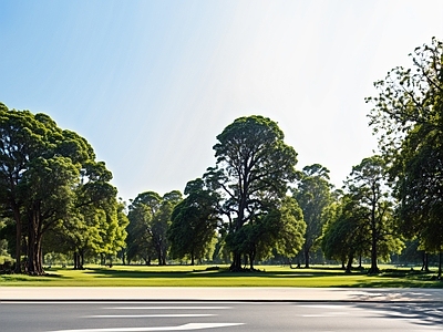 现代城市外景 城市外景 城市公园外景 都市风景 城市建筑 森林外景