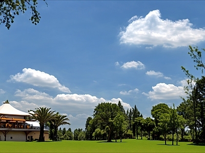 现代城市外景 城市外景 城市公园外景 都市风景 城市建筑 森林外景