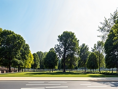 现代城市外景 城市外景 城市公园外景 都市风景 城市建筑 森林草坪外景