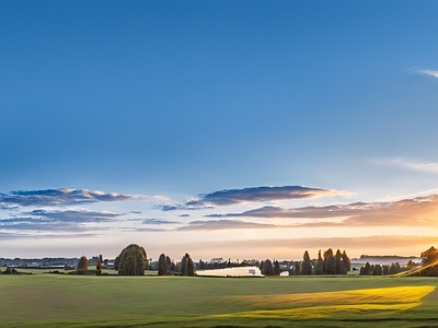 现代城市外景 城市外景 城市公园外景 都市风景 城市建筑 森林外景